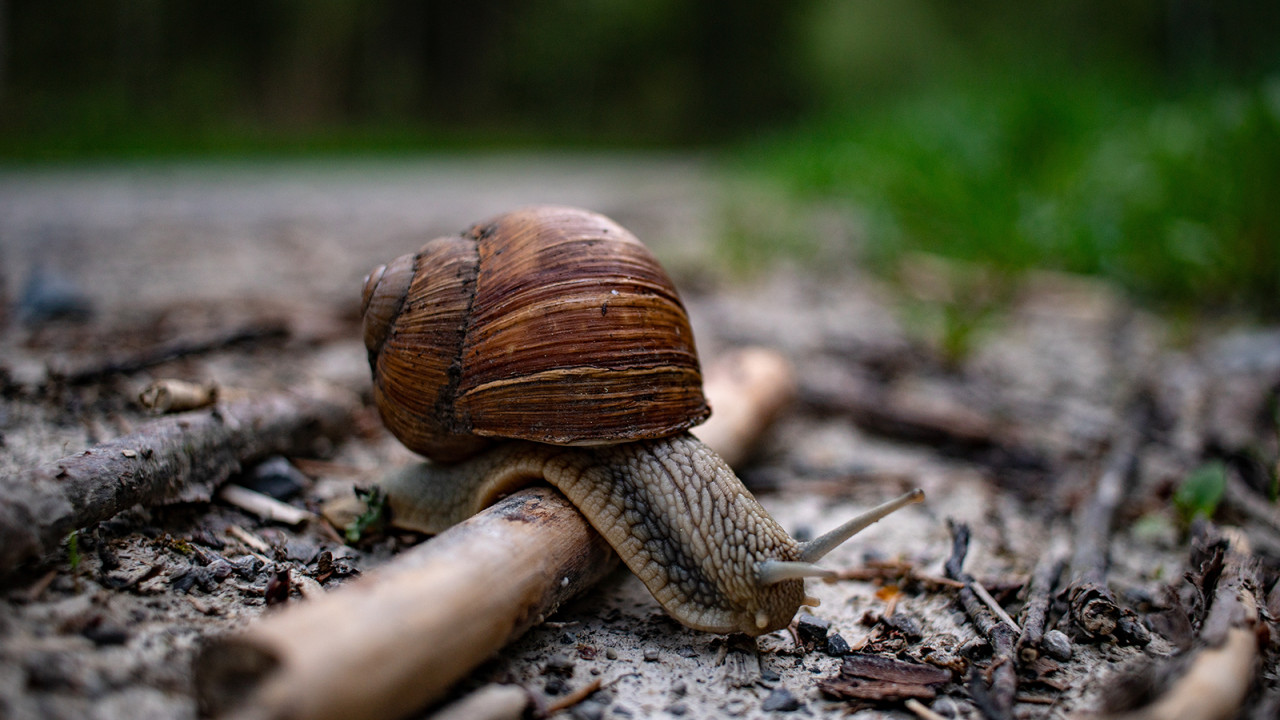 zijn-onderstaande-struikelblokken-ook-herkenbaar-voor-u